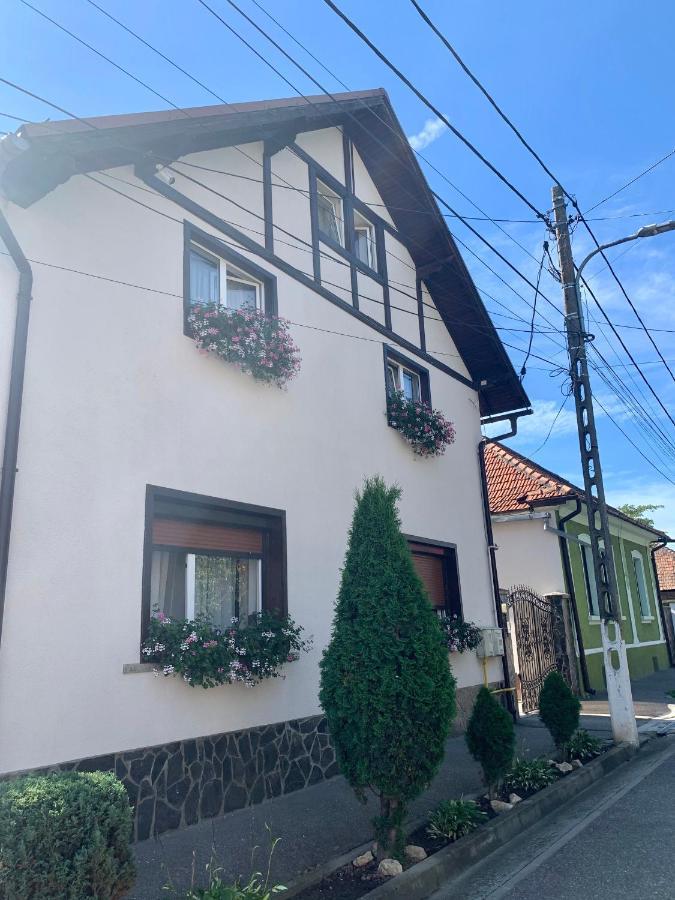 Pensiunea Stoian Cristian  Buitenkant foto